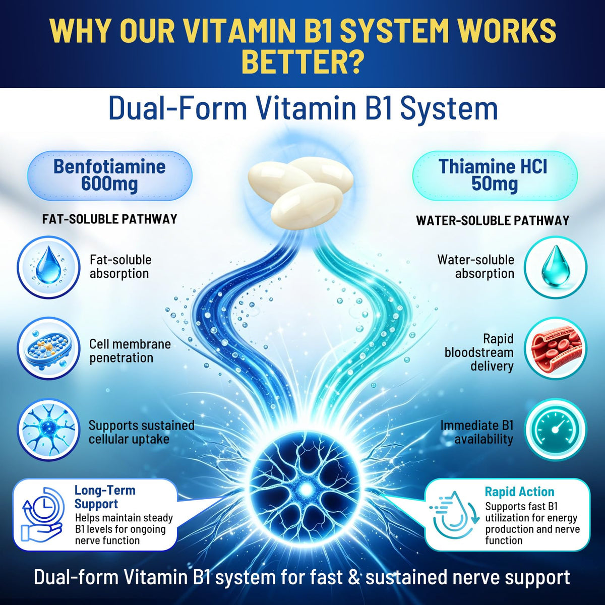 Composition de B1 Benfotiamine et autres vitamines