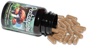 Composition de champignons fonctionnels dans Pentaspore