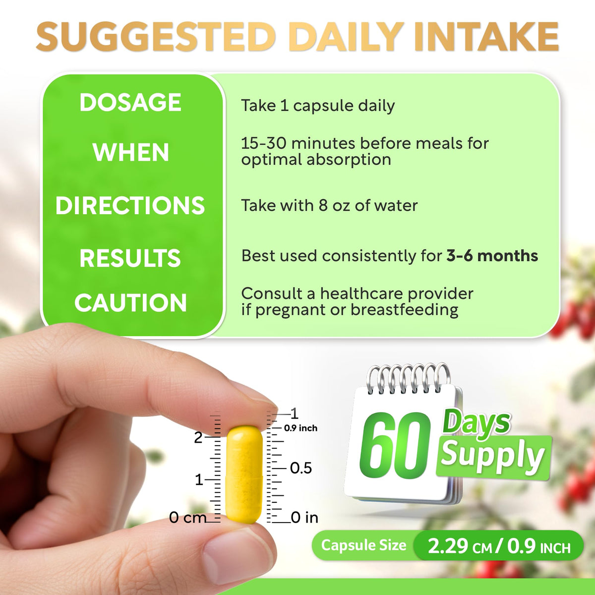 Composition de Dalnara Dihydroberberine 250mg sur l'étiquette