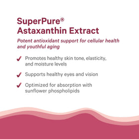 Composition de l'astaxanthin biologique dans une capsule