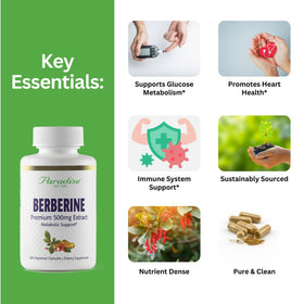 Composition de l'extrait de Berbérine Paradise Herbs sur fond neutre