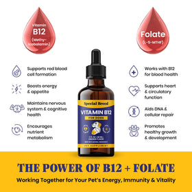 Composition de la Vitamine B12 Liquide Special Breed, ingrédients listés