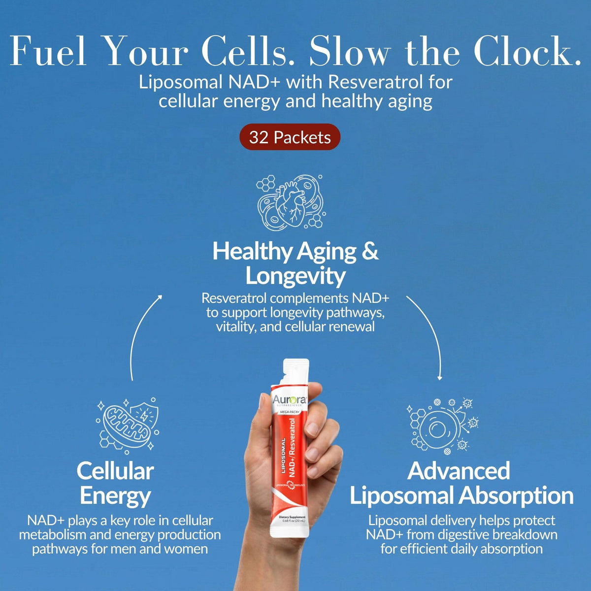 Composition de Vida Lifescience Liposomal NAD+ avec Resvératrol