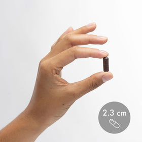 Composition des baies de sureau fermentées Dr. Mercola