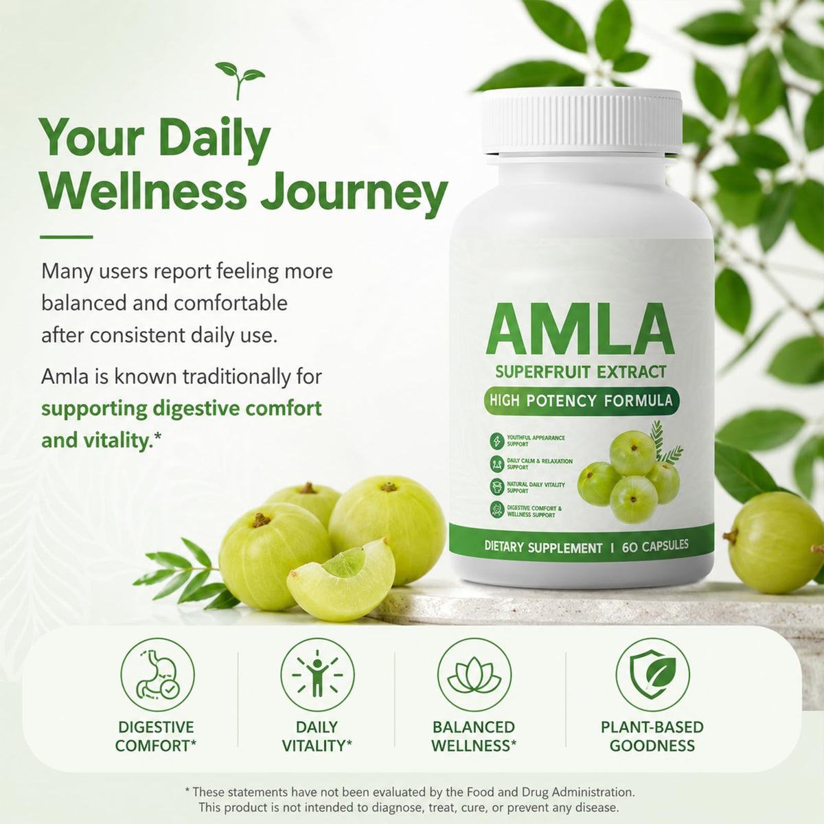 Composition des capsules Alevia Organic Amla