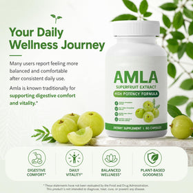 Composition des capsules Alevia Organic Amla