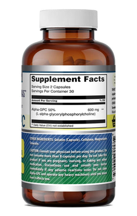 Composition des capsules Alpha GPC Amazing Nutrition