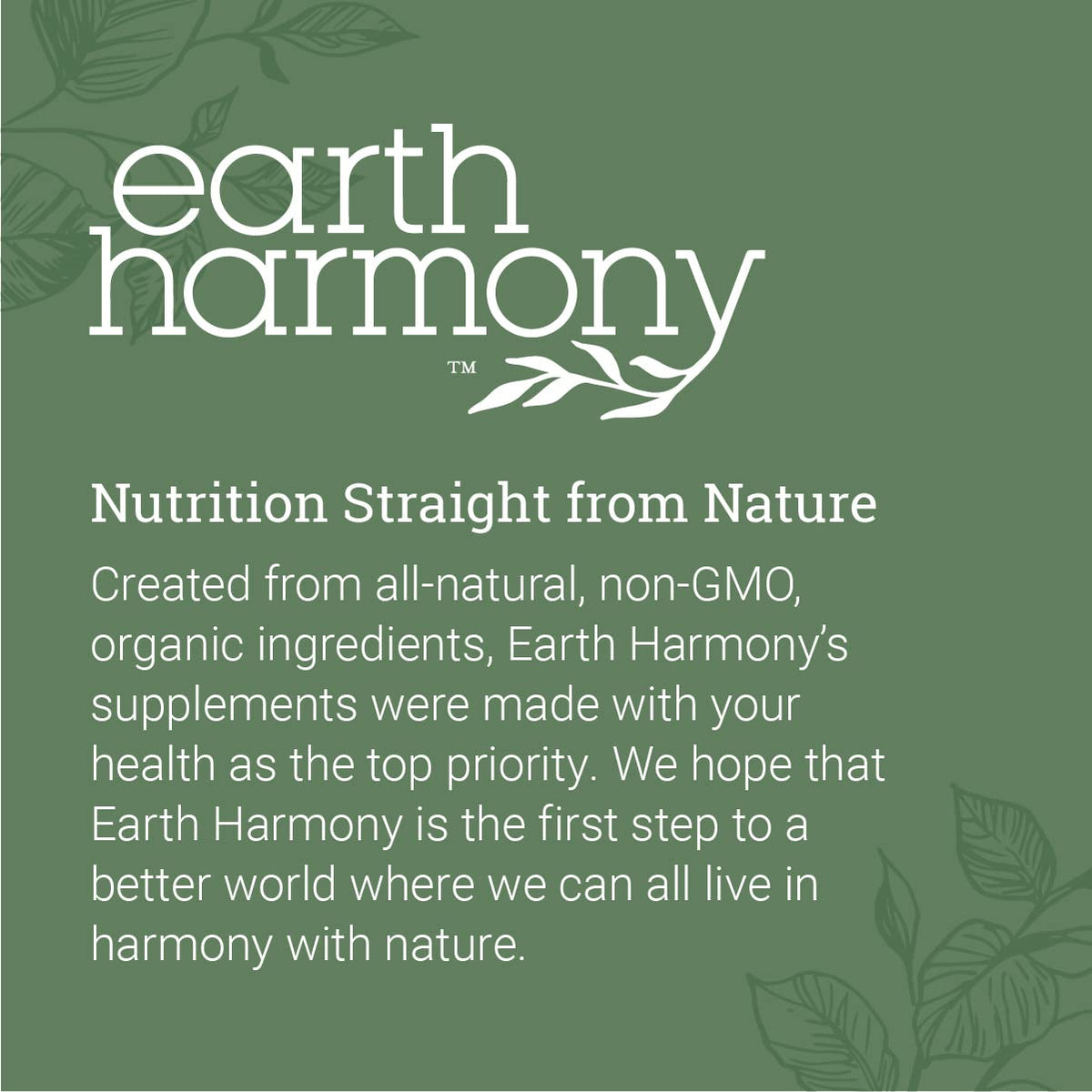 Composition des capsules de Chaga 1000mg d'Earth Harmony Naturals