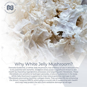 Composition des capsules de champignon Jelly Blanc Nootropics Depot