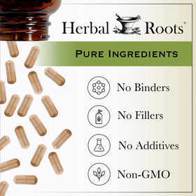Composition des capsules de Cordyceps Herbal Roots sur une table