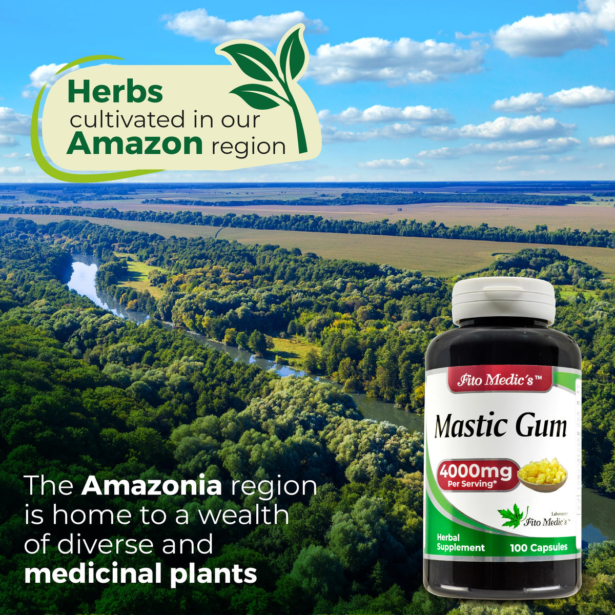Composition des capsules de Mastic Gum de FITO MEDIC'S