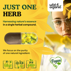 Composition des capsules de mullein Wild & Organic sur fond neutre