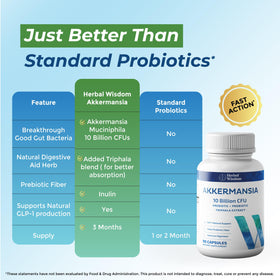Composition des capsules de probiotique Akkermansia Herbal Wisdom