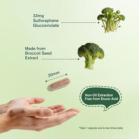 Composition des capsules de Sulforaphane LTTLAODIZ
