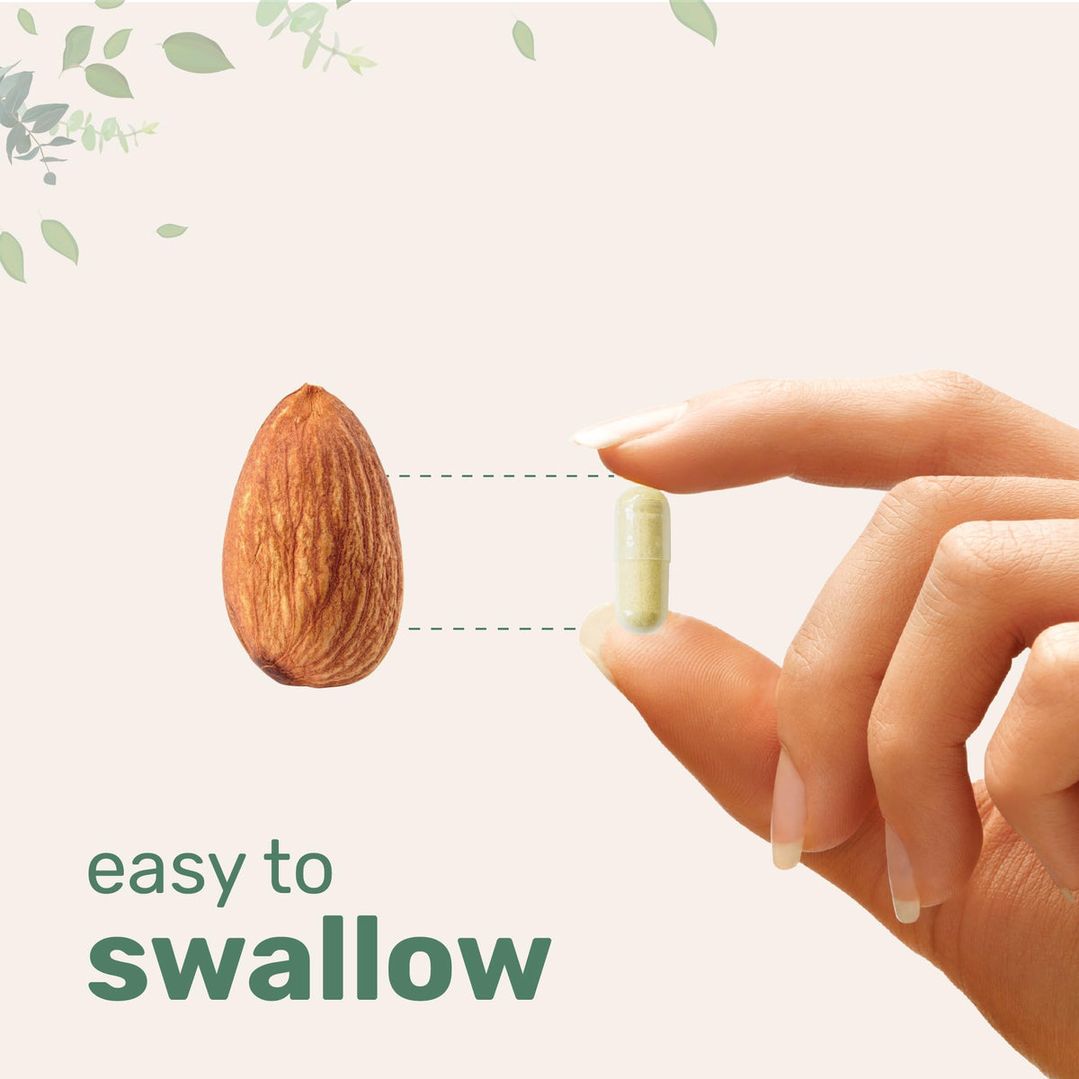 Composition des capsules incluant Maca, Ashwagandha, Ginseng Panax