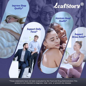 Composition des capsules LeafStory sur un fond neutre