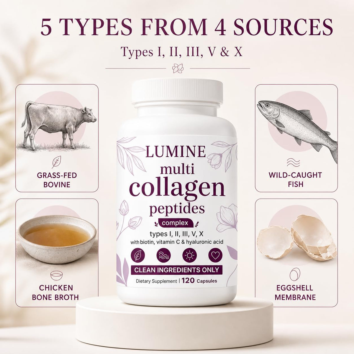 Composition des capsules LUMINE Multi Collagen Complex