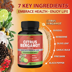 Composition des capsules Organic Cadane Bergamote