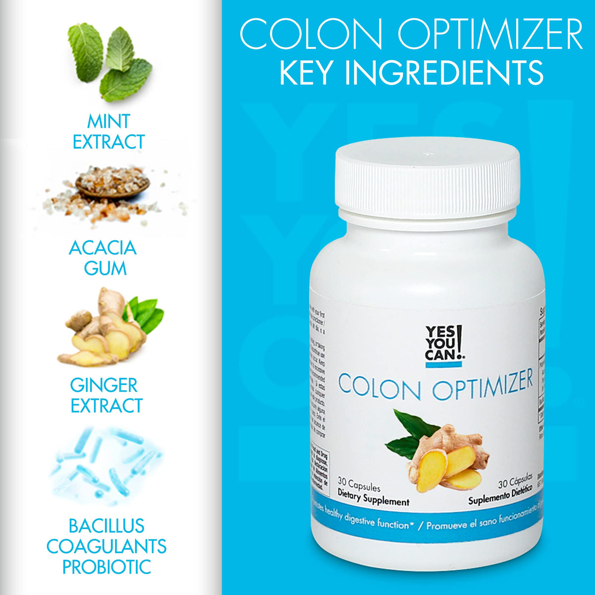 Composition des capsules Yes You Can! avec ingrédients naturels