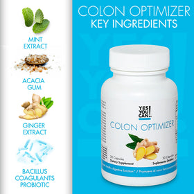 Composition des capsules Yes You Can! avec ingrédients naturels