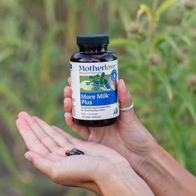 Composition des herbes dans Motherlove More Milk Plus