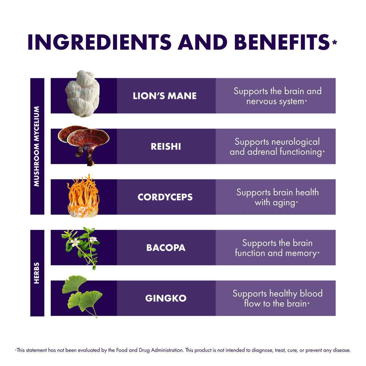 Composition des ingrédients de Host Defense MycoBotanicals