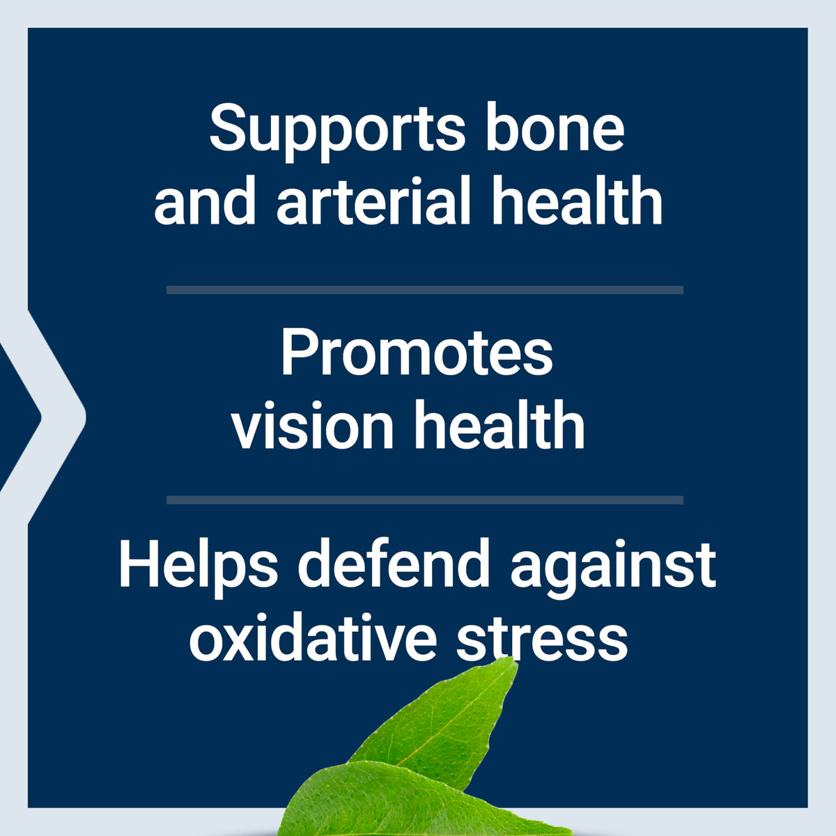 Composition des ingrédients de Life Extension Once-Daily Health support