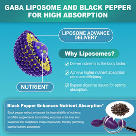 Composition des ingrédients de LILICARE GABA 1000mg