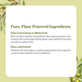 Composition des ingrédients de PURE SYNERGY Extrait d'Olive