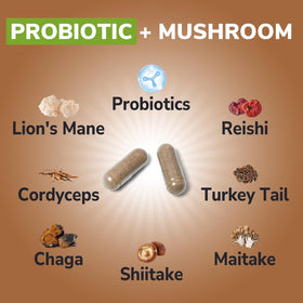 Composition des ingrédients de Vitalibre Probiotiques + Champignons