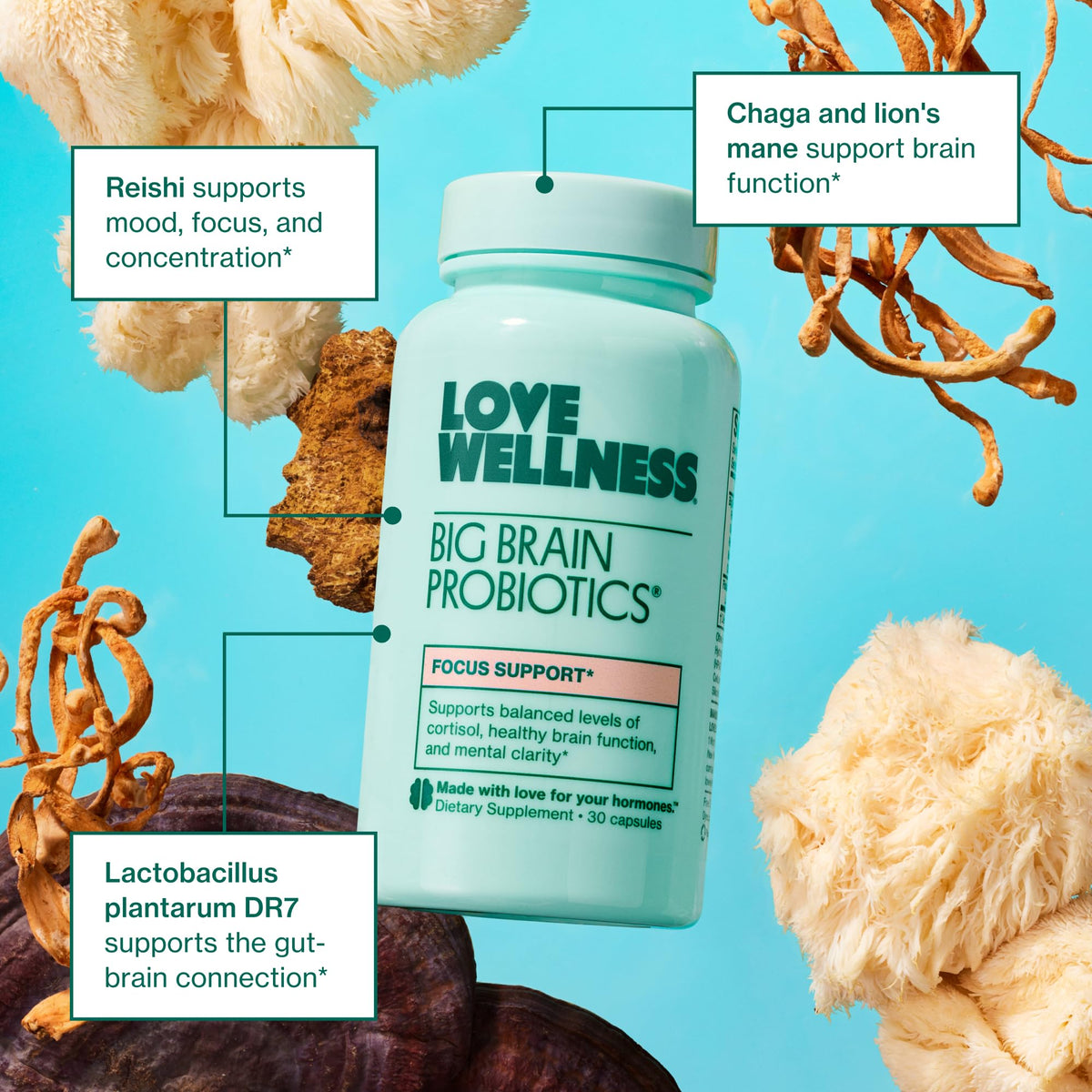 Composition des ingrédients du Love Wellness Big Brain Probiotic