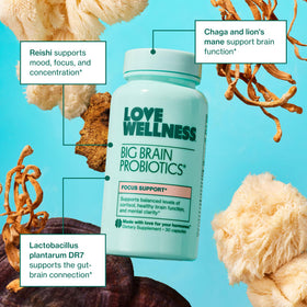 Composition des ingrédients du Love Wellness Big Brain Probiotic