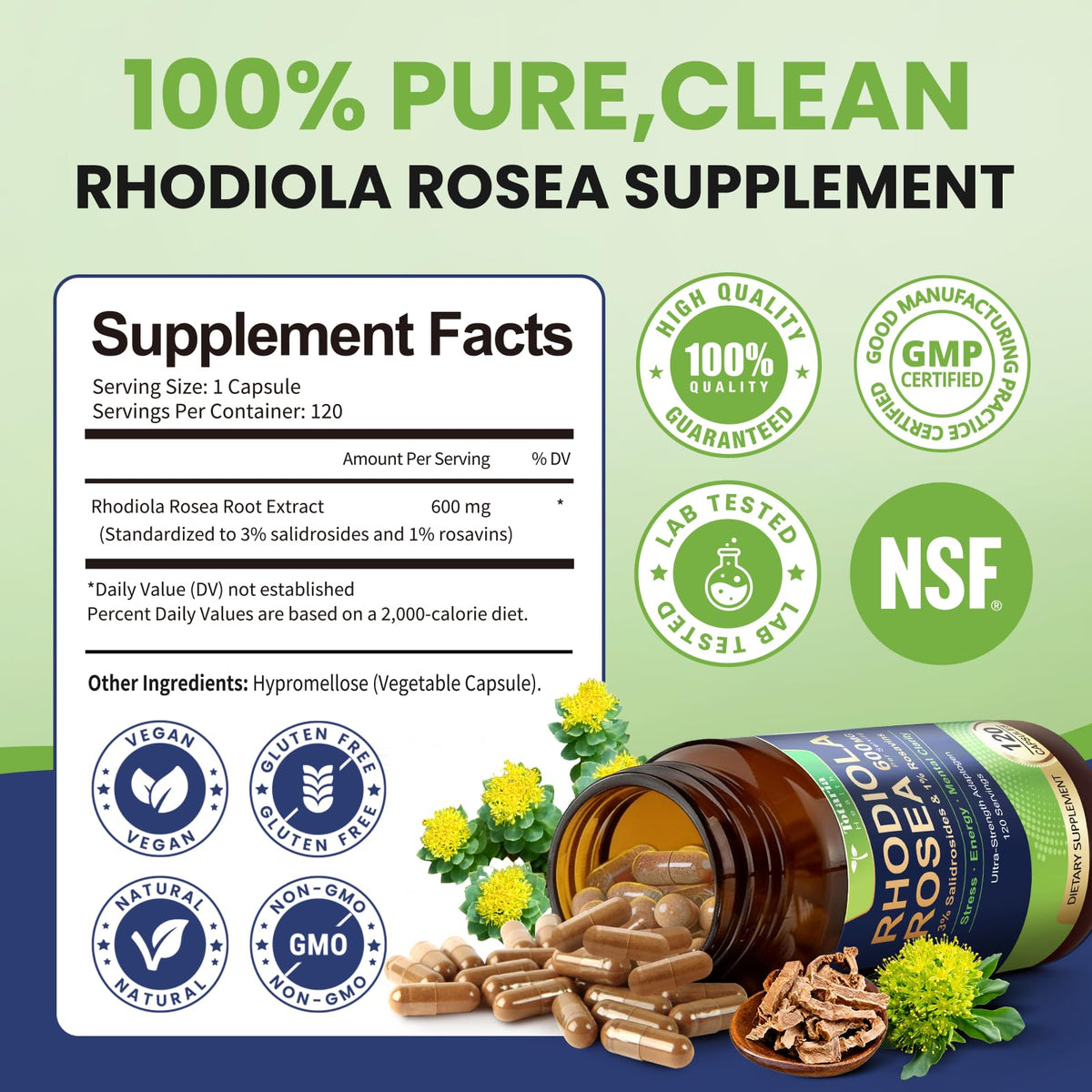 Composition détaillée de Totaria Rhodiola Rosea