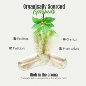 Composition du produit Gurmar d'Herbsforever affichée