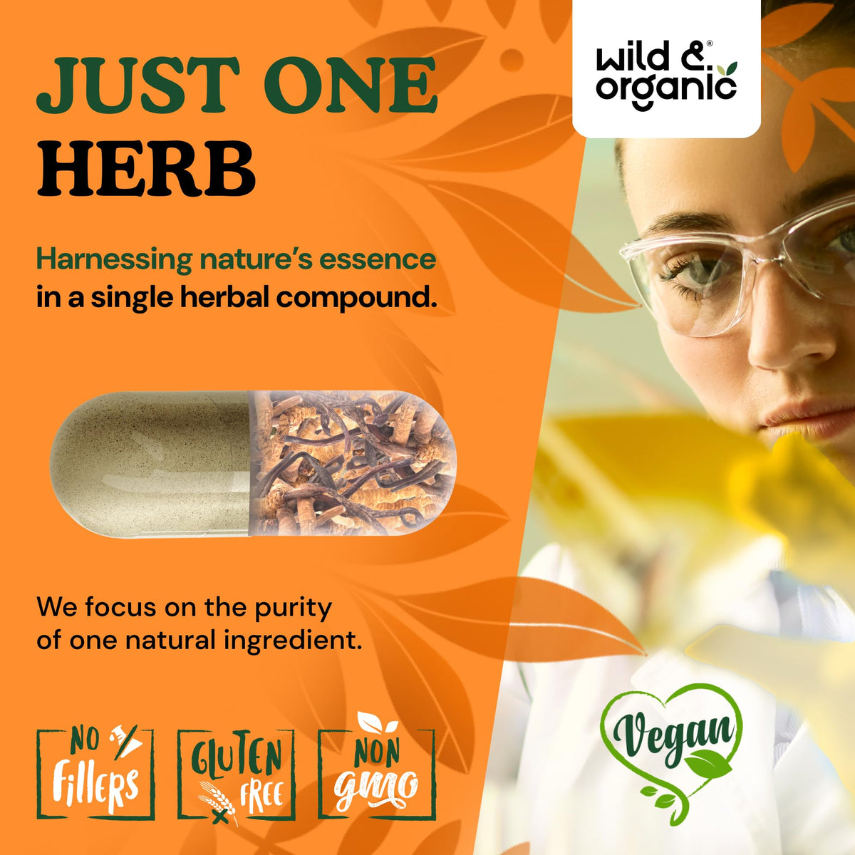 Composition naturelle des capsules de cordyceps Wild & Organic