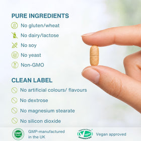 Composition nutritionnelle de la multivitamine Igennus pour femmes 50+