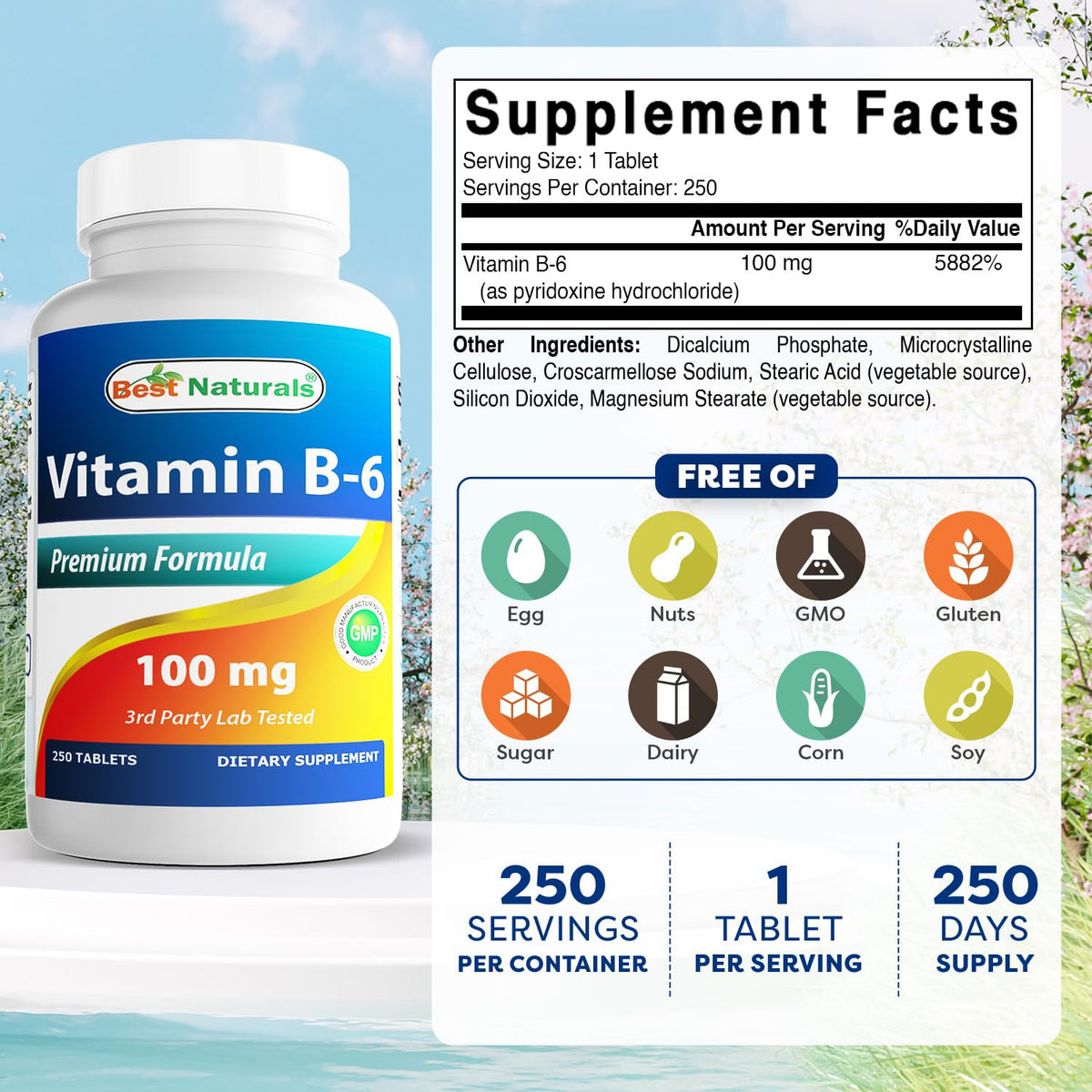 Comprimé de Vitamine B6 Best Naturals en gros plan