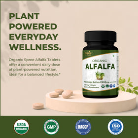 Comprimés d'Alfalfa ORGANIC SPREE sur fond blanc