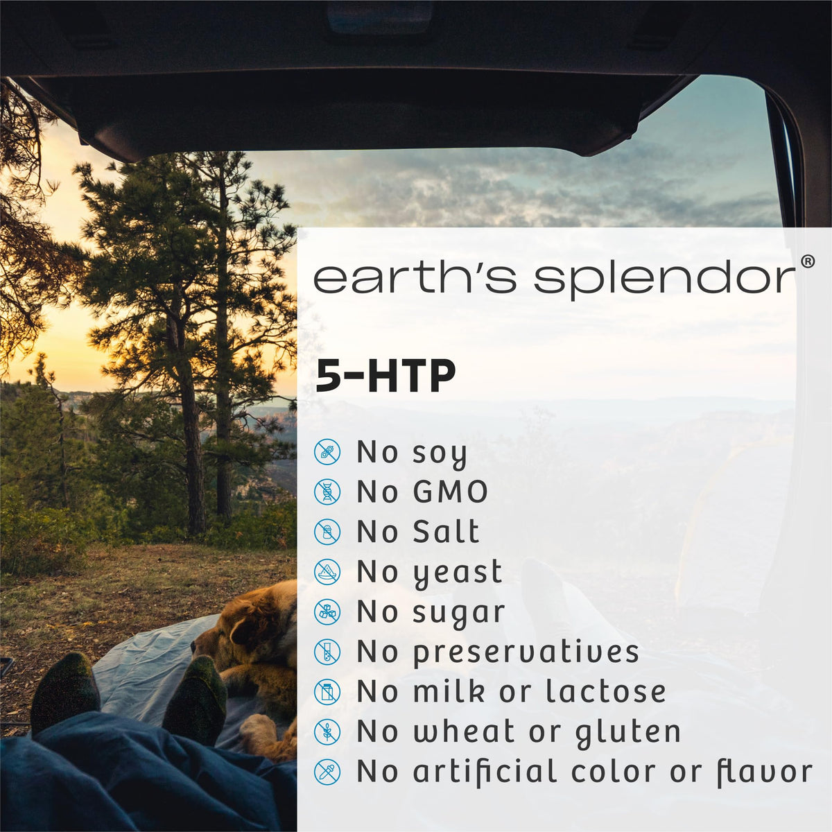 Comprimés d'Earth's Splendor L-Lysine 500mg sur une table