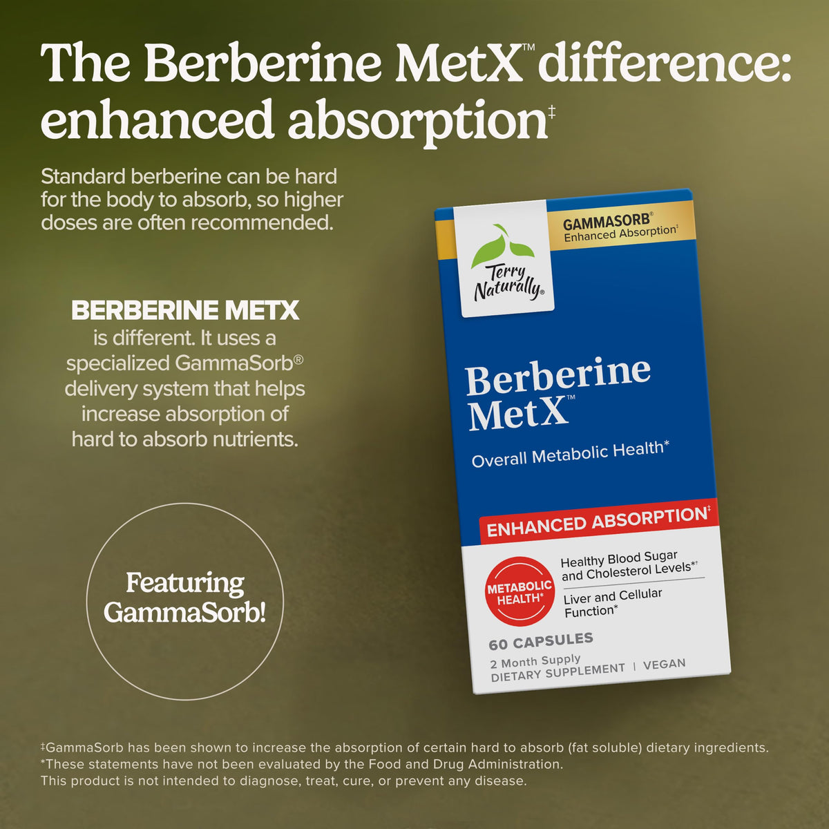 Comprimés de Berberine MetX sur une surface blanche