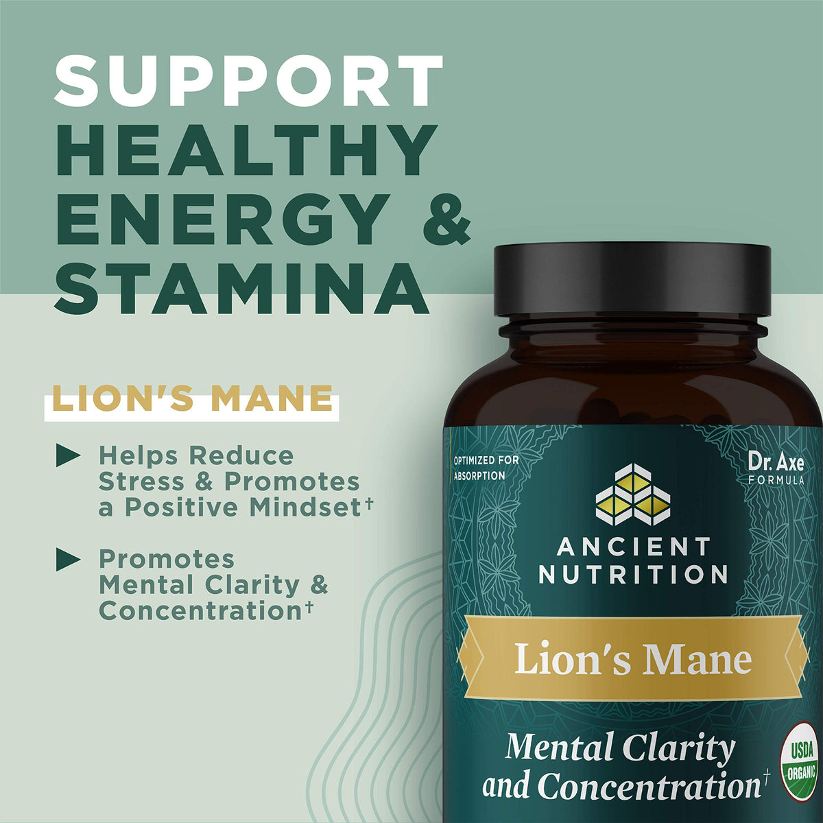 Comprimés de champignon Lion's Mane bio sur fond blanc