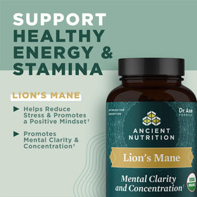 Comprimés de champignon Lion's Mane bio sur fond blanc