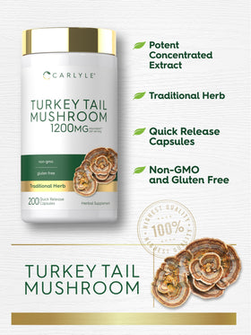 Comprimés de champignon Turkey Tail Carlyle sur table
