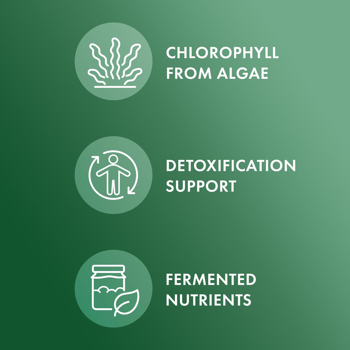 Comprimés de chlorella fermentée Dr. Mercola sur une table