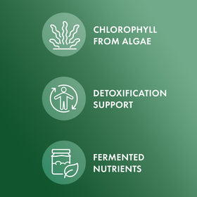 Comprimés de chlorella fermentée Dr. Mercola sur une table
