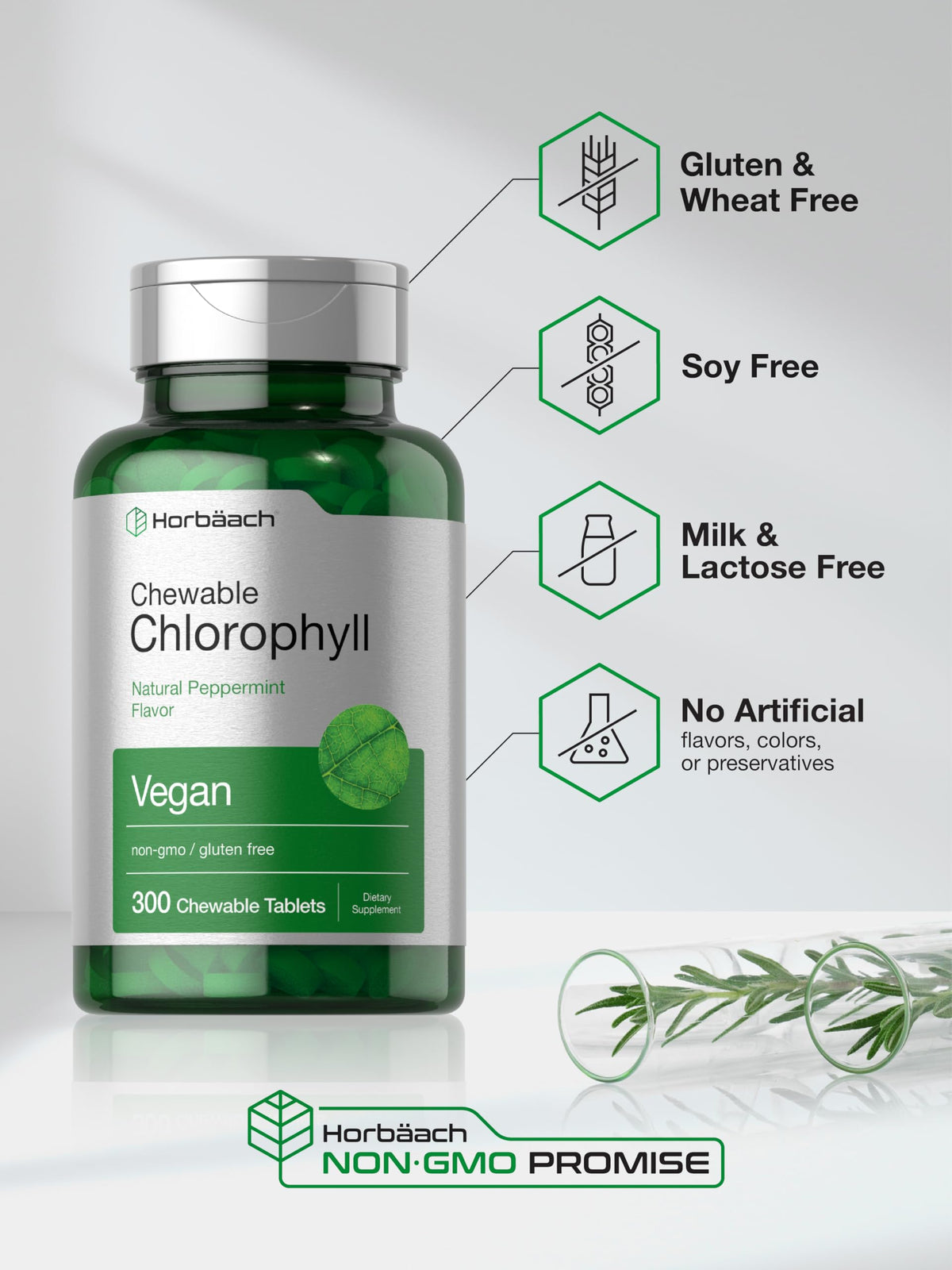 Comprimés de chlorophylle Horbäach dans une main