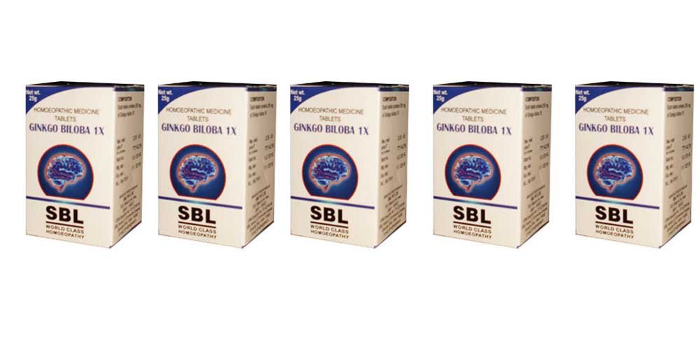 Comprimés de Ginkgo Biloba Xllent 25g, pack de 5 unités