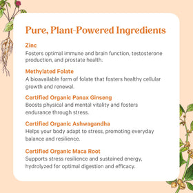 Comprimés de Multivitamines pour Hommes PURE SYNERGY dans la main