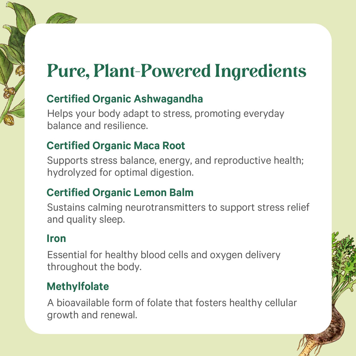 Comprimés de multivitamines PURE SYNERGY dans une main