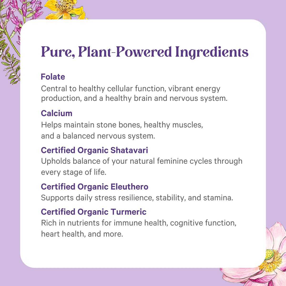 Comprimés de PURE SYNERGY Vita·Min·Herb dans une main